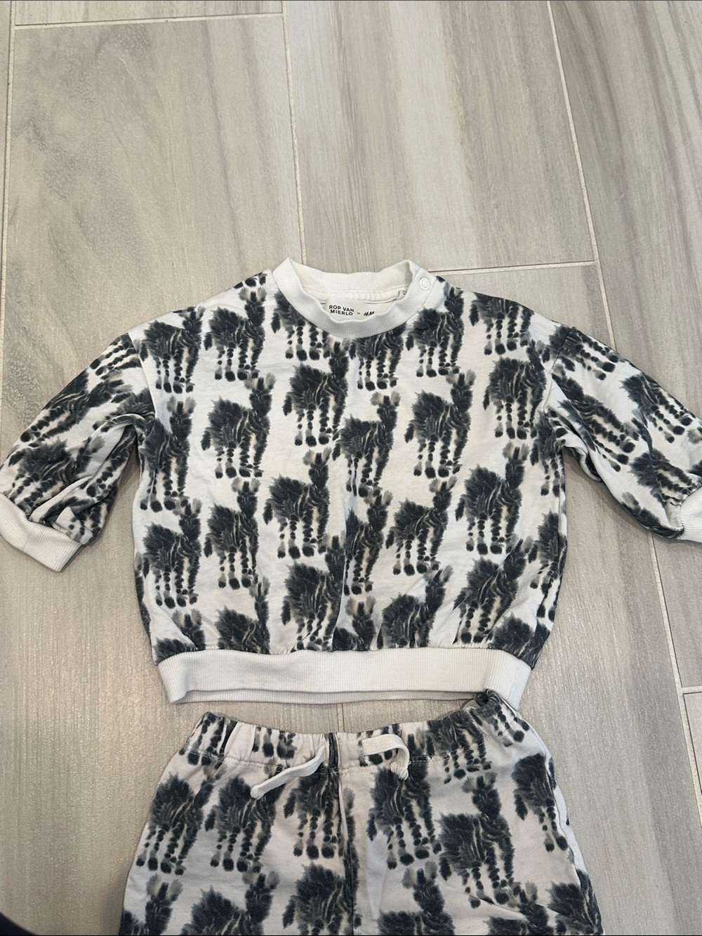 H&M x Rop Van Mierlo Baby 9M Zebra Tie-Dye Two-Piece Sweatshirt & Shorts Set - Picture 3 of 8